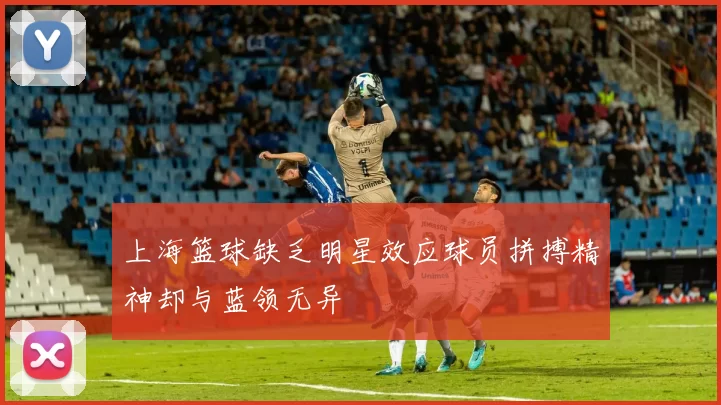 上海篮球缺乏明星效应球员拼搏精神却与蓝领无异